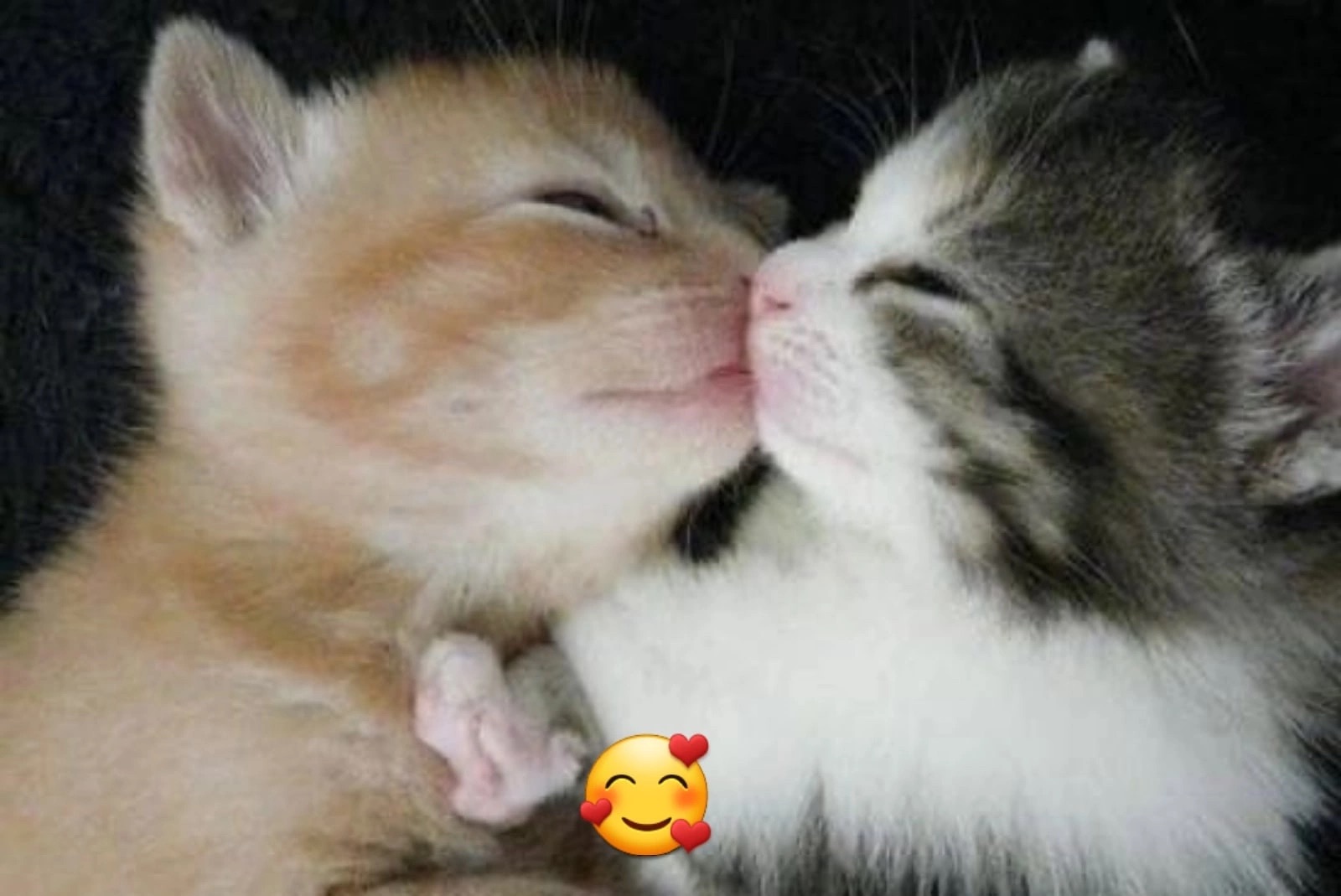 I Love you котенок